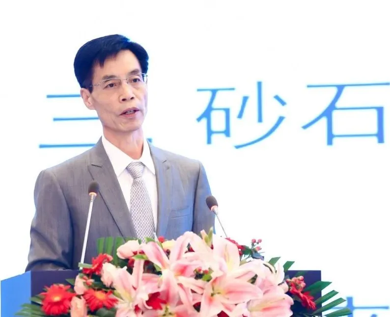 主旨報告 | 胡幼奕以國際化視角，提出固廢綜合利用和生態(tài)環(huán)境修復(fù)新思路